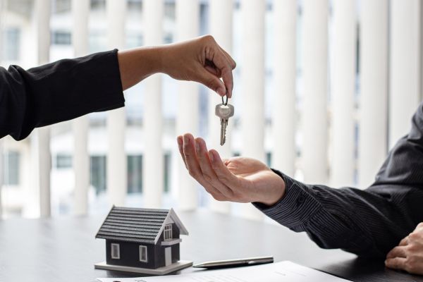 gestion alquiler asesoria zaragoza